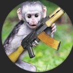 Assassin.Monkey's Avatar'