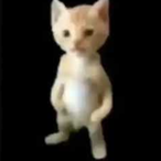 coochinald's Avatar'