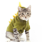VelociKitter's Avatar'