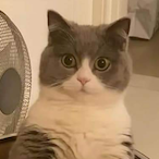 D0nt-Blame-Me's Avatar'