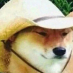 Snowyxan's Avatar'