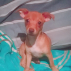 DAMARIS24SEVEN's Avatar'