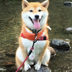 callofdutymw7's Avatar'