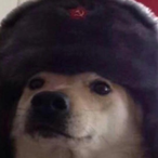 CaptainNut9291's Avatar'