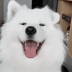 FynnPog.weh's Avatar'