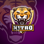Nitro_RG's Avatar'
