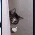 Crystal_Bar_Pro's Avatar'