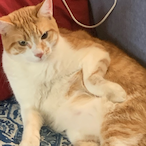 BigBlinkerz's Avatar'