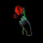 y give comms's Avatar'