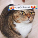 EliteTenderCow's Avatar'