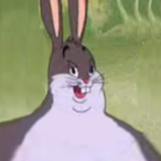 Chungusix_siege's Avatar'