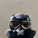IcePolli's Avatar'