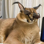 Stimpthepimp's Avatar'