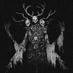 frogxz.exe's Avatar'