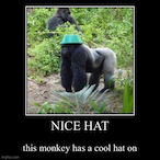 Xtra.Strange's Avatar'