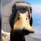 Bananas1029's Avatar'