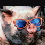 LilHamAdam's Avatar'