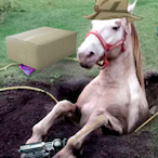 ivanhoeta's Avatar'