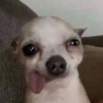 NineexMaceta's Avatar'