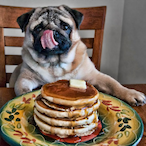 Pancake_Pupper's Avatar'