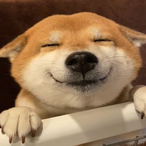 Mei_pu's Avatar'