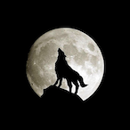Soul_LoneWolf's Avatar'