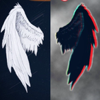 MF_SALVO032's Avatar'