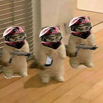 WoXiADong-'s Avatar'