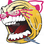 brapx3's Avatar'