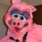 MellowSalmon2's Avatar'