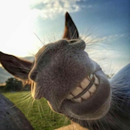 CR7OuO's Avatar'