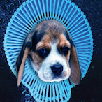 CowboyPipo's Avatar'