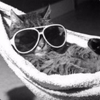 iintrep's Avatar'