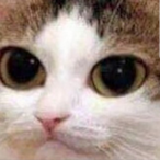 CPT_FRIES's Avatar'