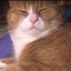 OscarLundstedt8's Avatar'