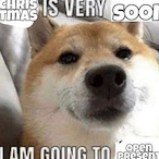 Sheriff_Doge's Avatar'