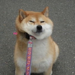 Taroth2724's Avatar'