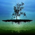 Memory_Kill's Avatar