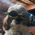 ThulioTarjaPret's Avatar'