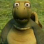 reecckko's Avatar'