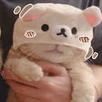 CutieTakoyaki's Avatar'