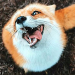 SayWaIahiBro's Avatar'