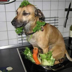 UIU_BALEIRO's Avatar'