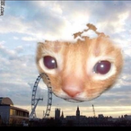 nihil710's Avatar'