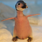 philughh's Avatar'