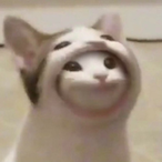 LtLuminaZZ's Avatar'