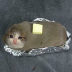 FUENTES_FRAGZ's Avatar'