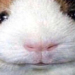 KeyvineBoogaloo's Avatar'