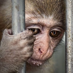 Didyeqstein's Avatar'