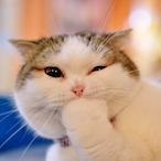 Senator-.'s Avatar'